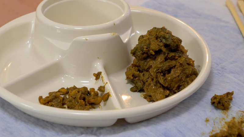 サンプル画像 13