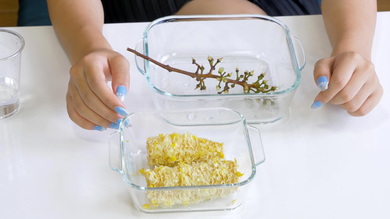 サンプル画像 3