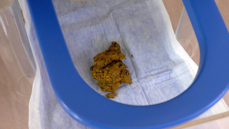 サンプル画像 10