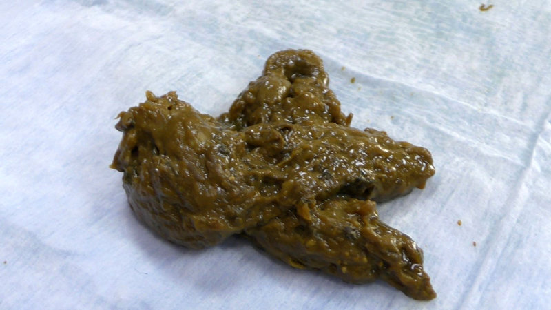 サンプル画像 7