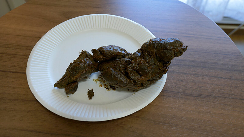 サンプル画像 5