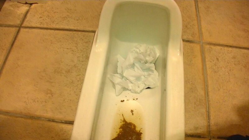 サンプル画像 8