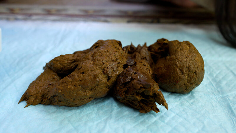 サンプル画像 5