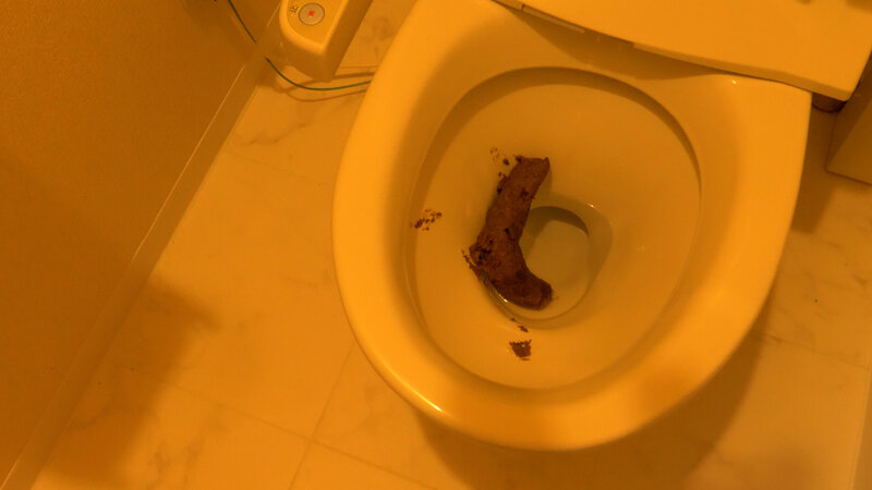 サンプル画像 8