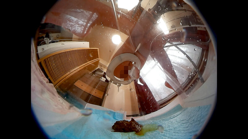 サンプル画像 8