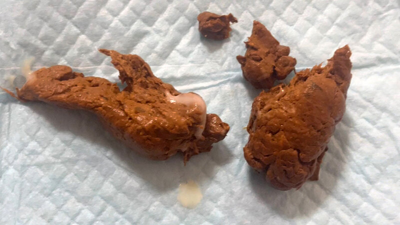 サンプル画像 5