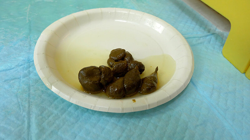 サンプル画像 9