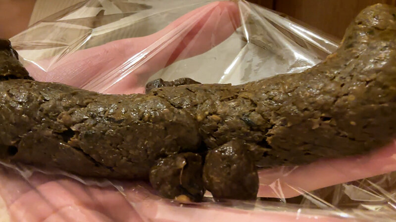 サンプル画像 11