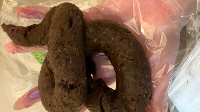 サンプル画像 6