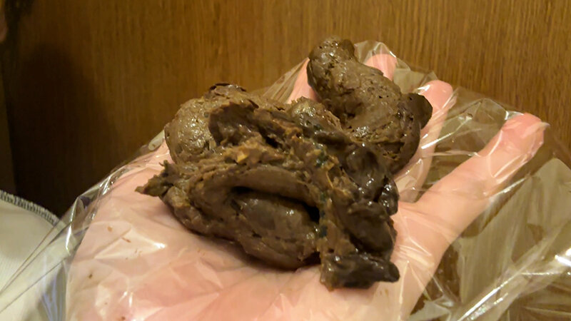 サンプル画像 8