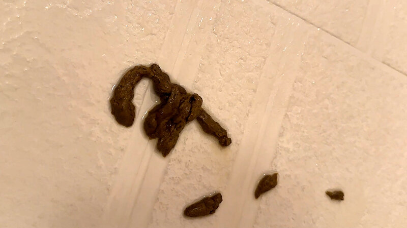 サンプル画像 10