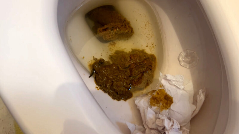 サンプル画像 11