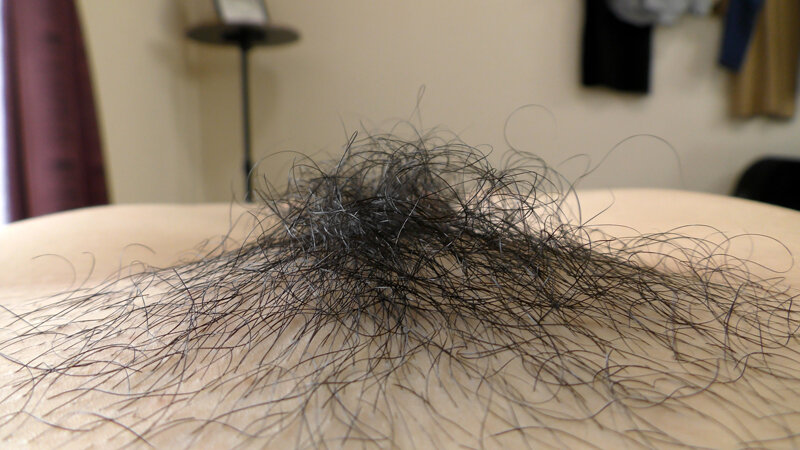 サンプル画像 5