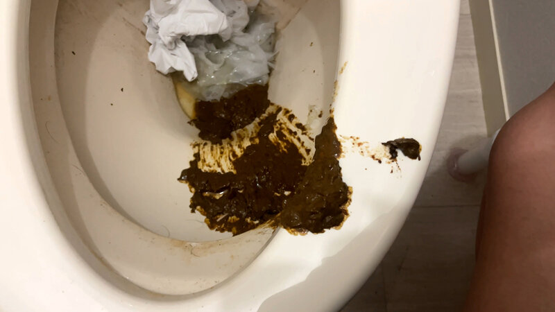 サンプル画像 14