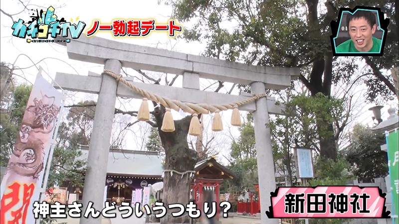 サンプル画像 6