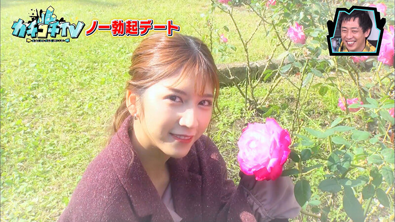 サンプル画像 5