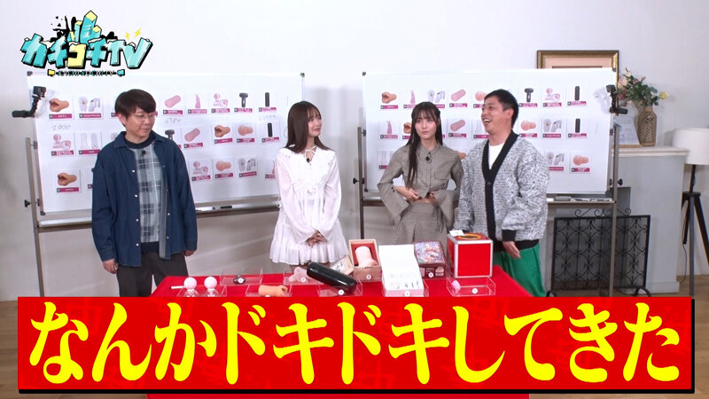 サンプル画像 11