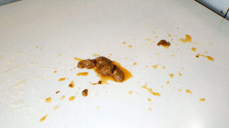 サンプル画像 21