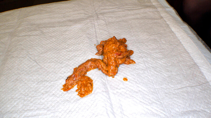 サンプル画像 6