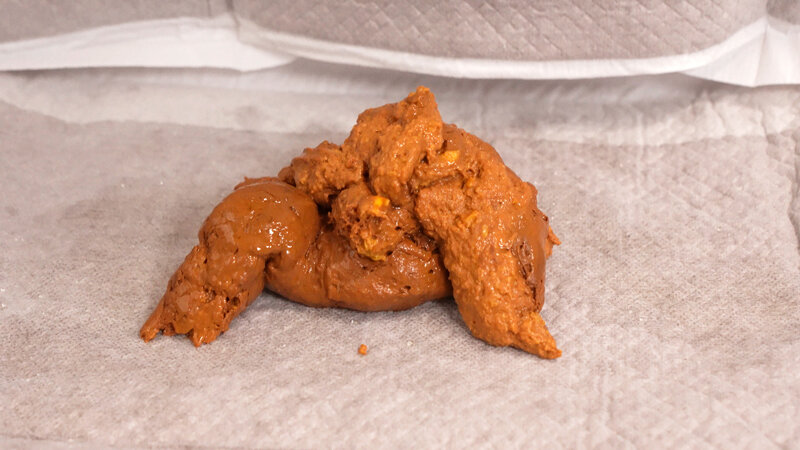 サンプル画像 9