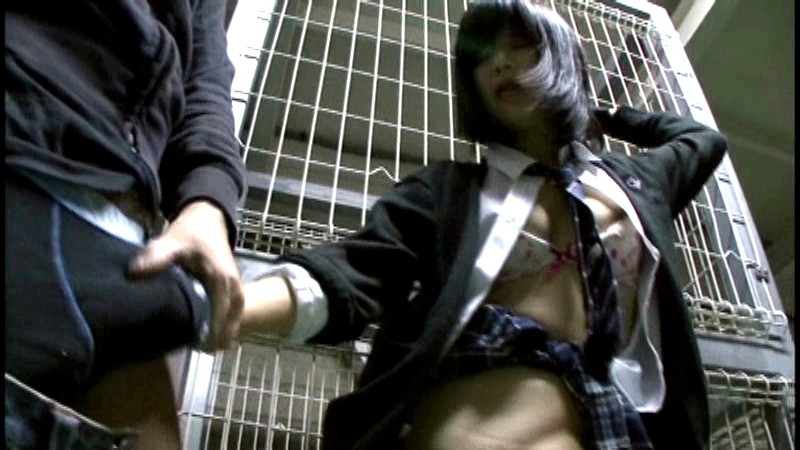 サンプル画像 6