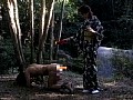 サンプル画像 26