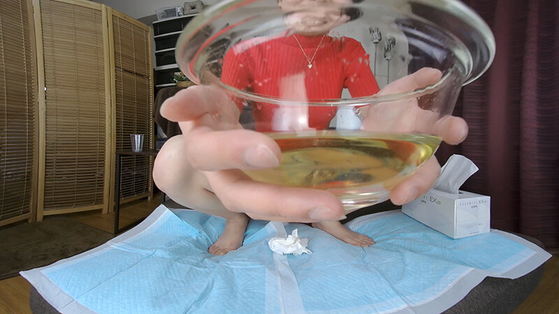 サンプル画像 8