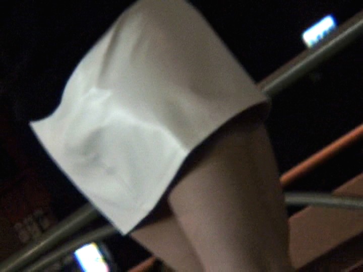 サンプル画像 15