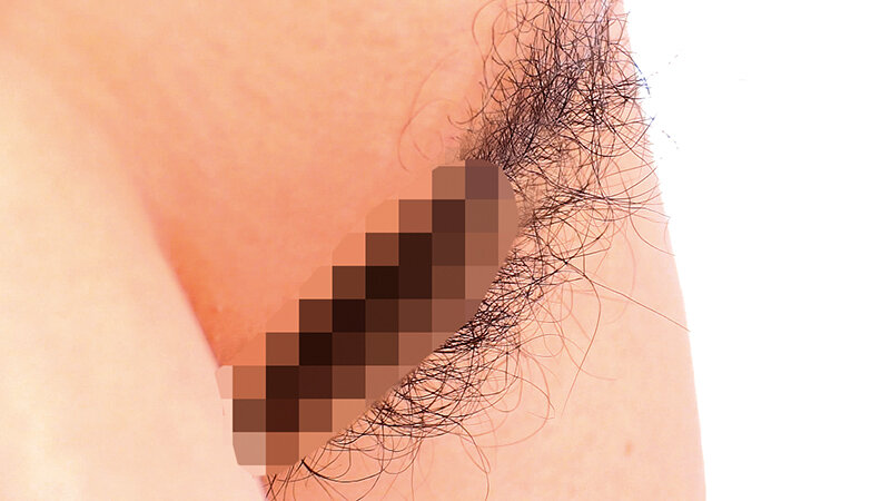 サンプル画像 5