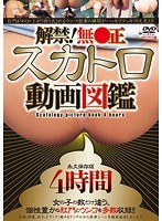 サムネイル画像