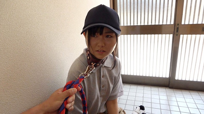 サンプル画像 7