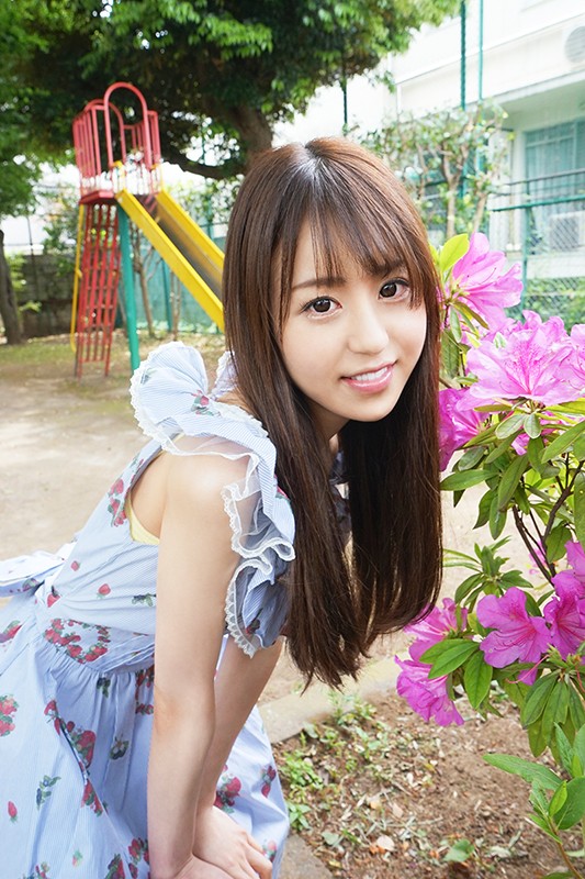 サンプル画像 2