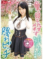サムネイル画像