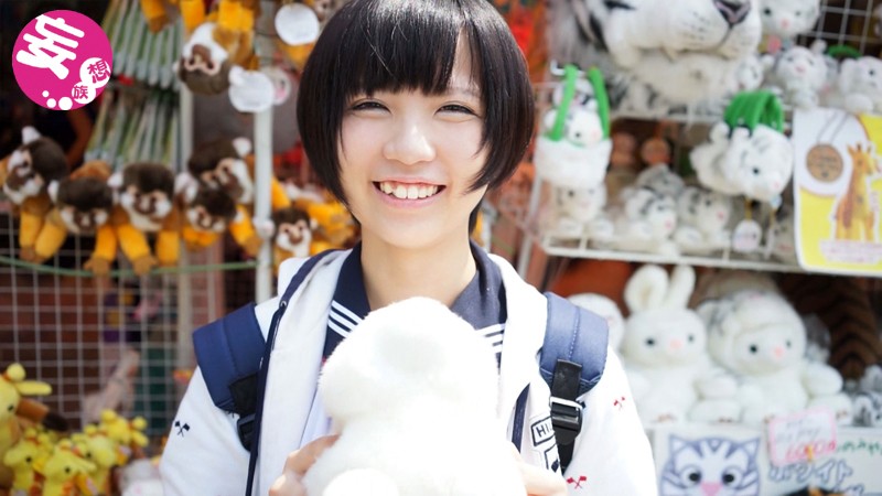 サンプル画像 8