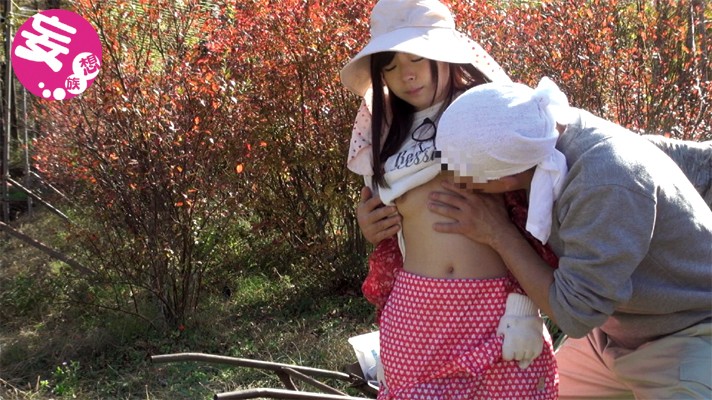 サンプル画像 7