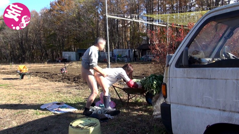 サンプル画像 5