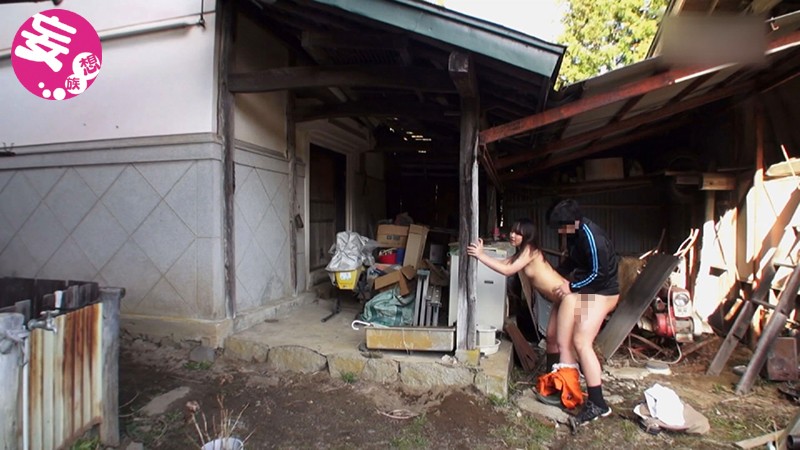 サンプル画像 9