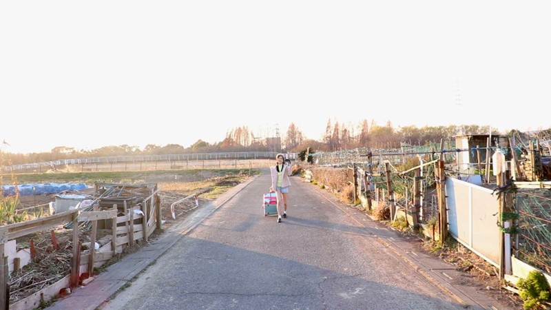 サンプル画像 2