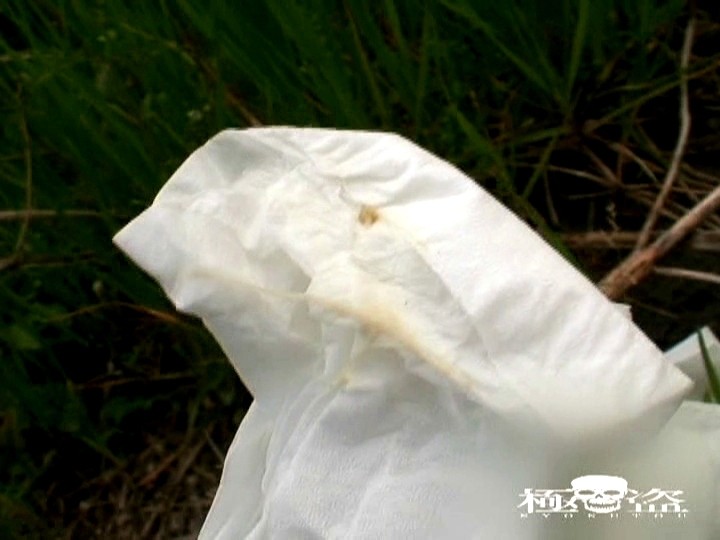 サンプル画像 16