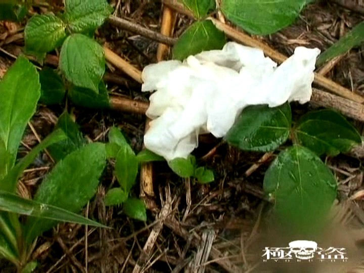 サンプル画像 18