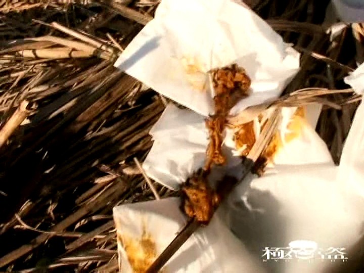 サンプル画像 21