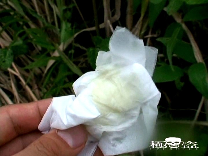 サンプル画像 9