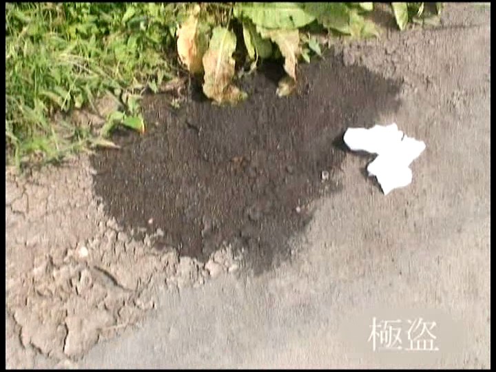 サンプル画像 11