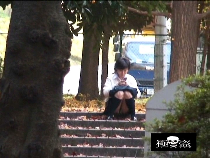 サンプル画像 3