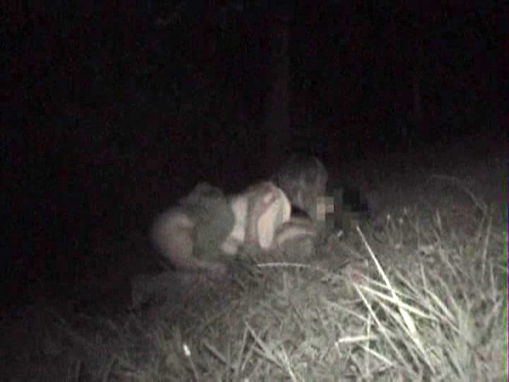 サンプル画像 13