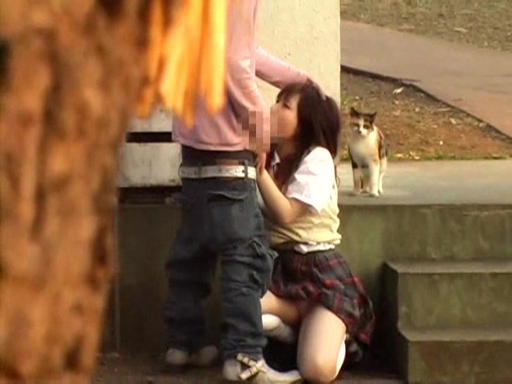 サンプル画像 3