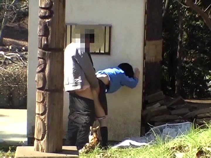 サンプル画像 12