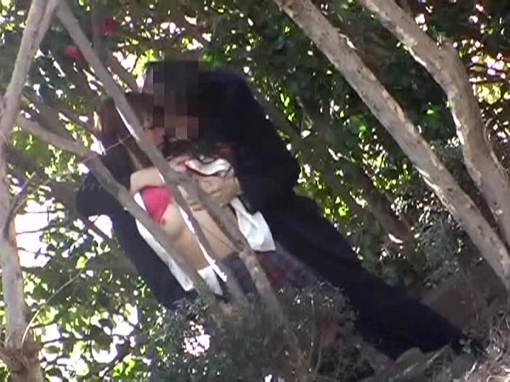 サンプル画像 16