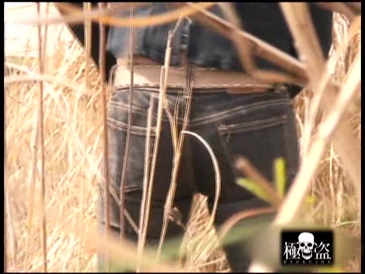 サンプル画像 11