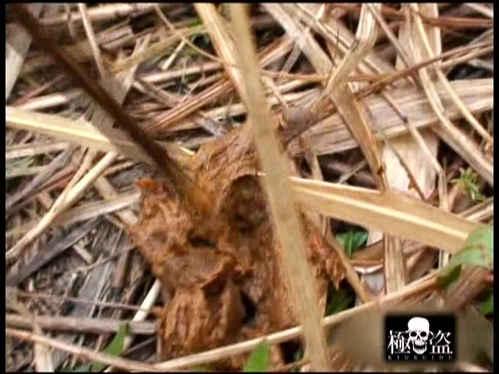 サンプル画像 13